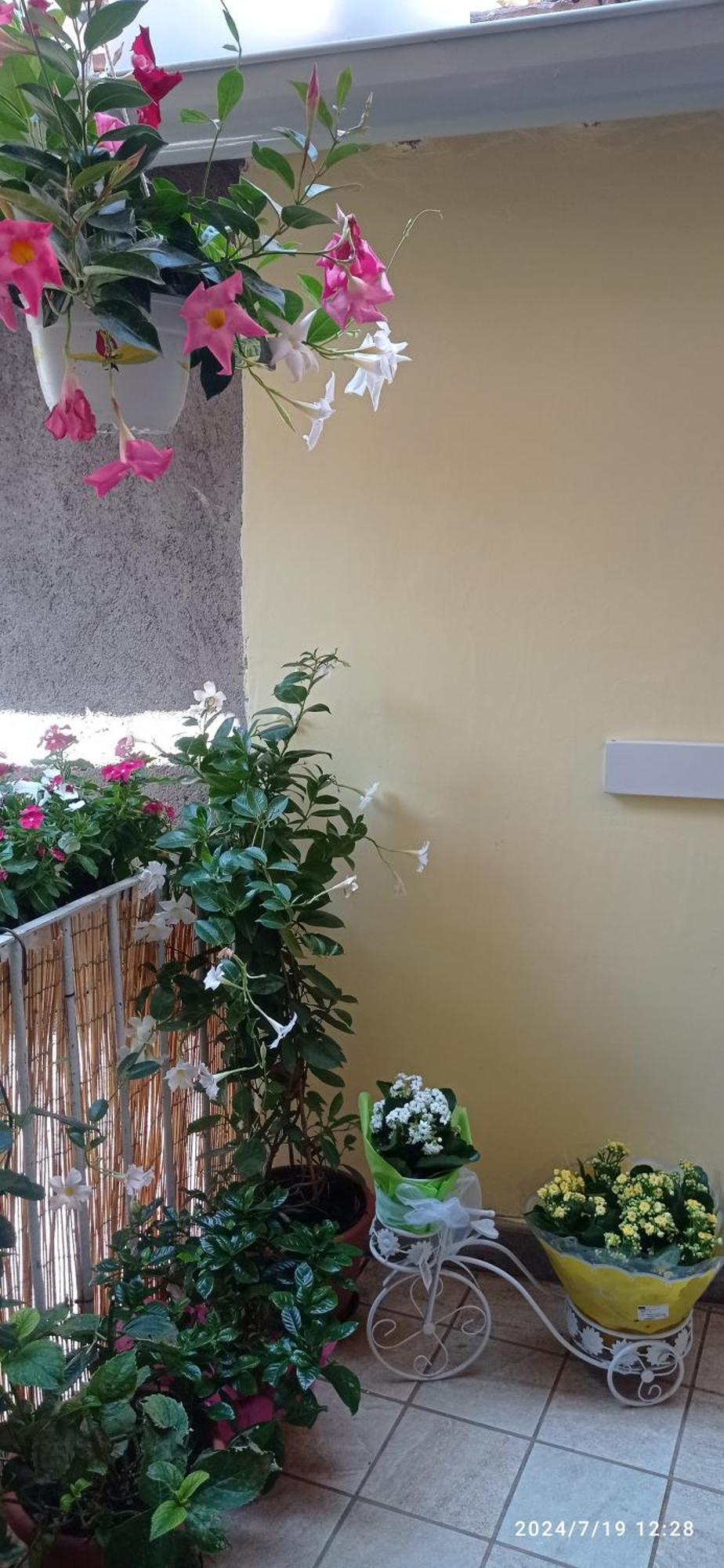 Apartament Residenza Del Sepale Viterbo Zewnętrze zdjęcie